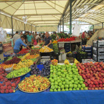 фото из отзыва ID 1197880