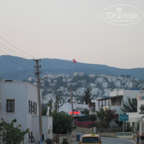 фото из отзыва ID 1197880