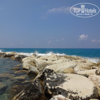 фото из отзыва ID 1198057