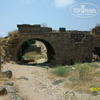 фото из отзыва ID 1198097