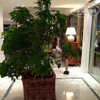 фото из отзыва ID 1198298