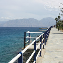 фото из отзыва ID 1197142