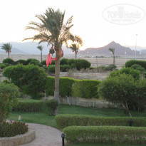 фото из отзыва ID 1198539