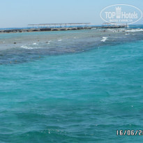 фото из отзыва ID 1198817