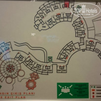 фото из отзыва ID 1194000