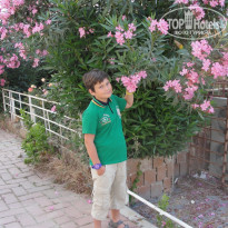 фото из отзыва ID 1198916