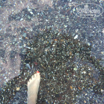 фото из отзыва ID 1199160