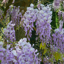 фото из отзыва ID 1198939