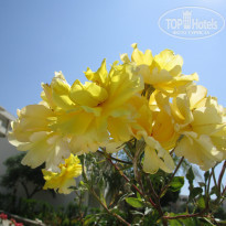 фото из отзыва ID 1196434