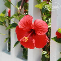 фото из отзыва ID 1196434