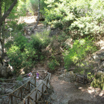 фото из отзыва ID 1196434