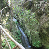 фото из отзыва ID 1196434