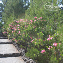 фото из отзыва ID 1196434