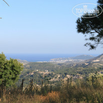 фото из отзыва ID 1196434