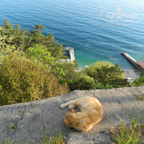 фото из отзыва ID 1199581