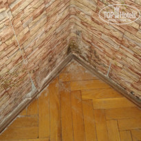 фото из отзыва ID 1199704