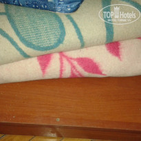 фото из отзыва ID 1199704