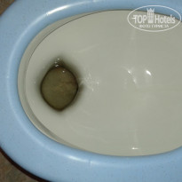 фото из отзыва ID 1199704