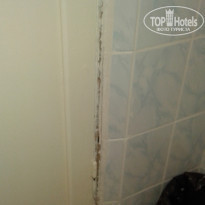 фото из отзыва ID 1199704