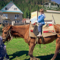 фото из отзыва ID 1199738