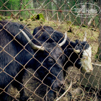 фото из отзыва ID 1199738