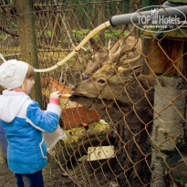 фото из отзыва ID 1199738