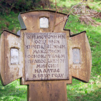 фото из отзыва ID 1199738