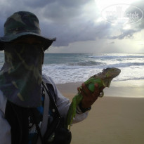 фото из отзыва ID 1199089