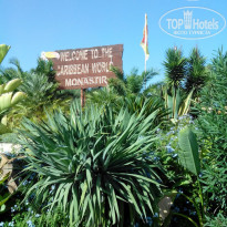 фото из отзыва ID 1199780