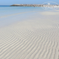 фото из отзыва ID 1199806