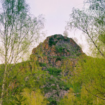 фото из отзыва ID 1199815