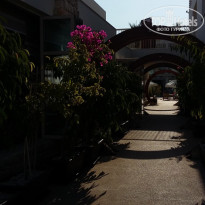 фото из отзыва ID 1199822