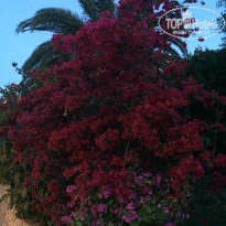 фото из отзыва ID 1199272