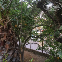 фото из отзыва ID 1199272