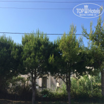 фото из отзыва ID 1199272