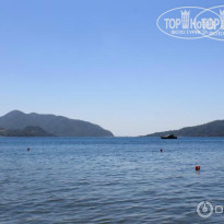 фото из отзыва ID 1198293