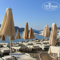 фото из отзыва ID 1198293