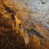 фото из отзыва ID 1199272