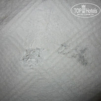 фото из отзыва ID 1198620