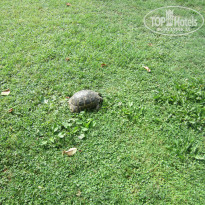 фото из отзыва ID 1198620