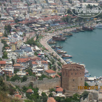 фото из отзыва ID 1198620