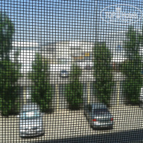 фото из отзыва ID 1195848