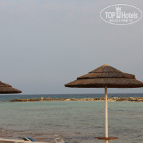 фото из отзыва ID 1198505