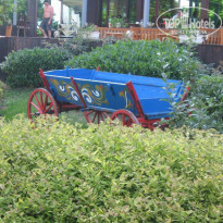 фото из отзыва ID 1199300