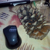 фото из отзыва ID 1197071