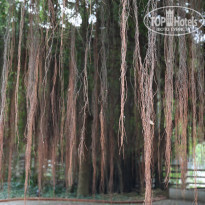 фото из отзыва ID 1193498