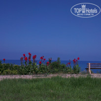 фото из отзыва ID 1197050