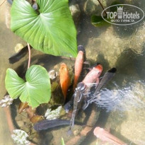 фото из отзыва ID 120698