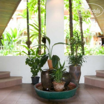 фото из отзыва ID 120698