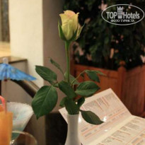 фото из отзыва ID 120020